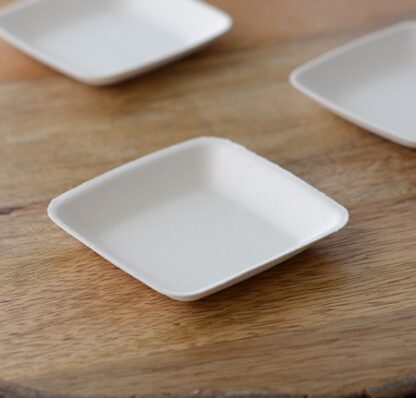 COMPOSTABLE ITEMS- PLATES; SPOONS; SMALL DISH